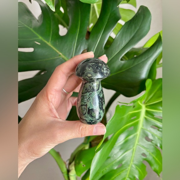 Kambaba Jasper Mushroom - Picture 3 of 4